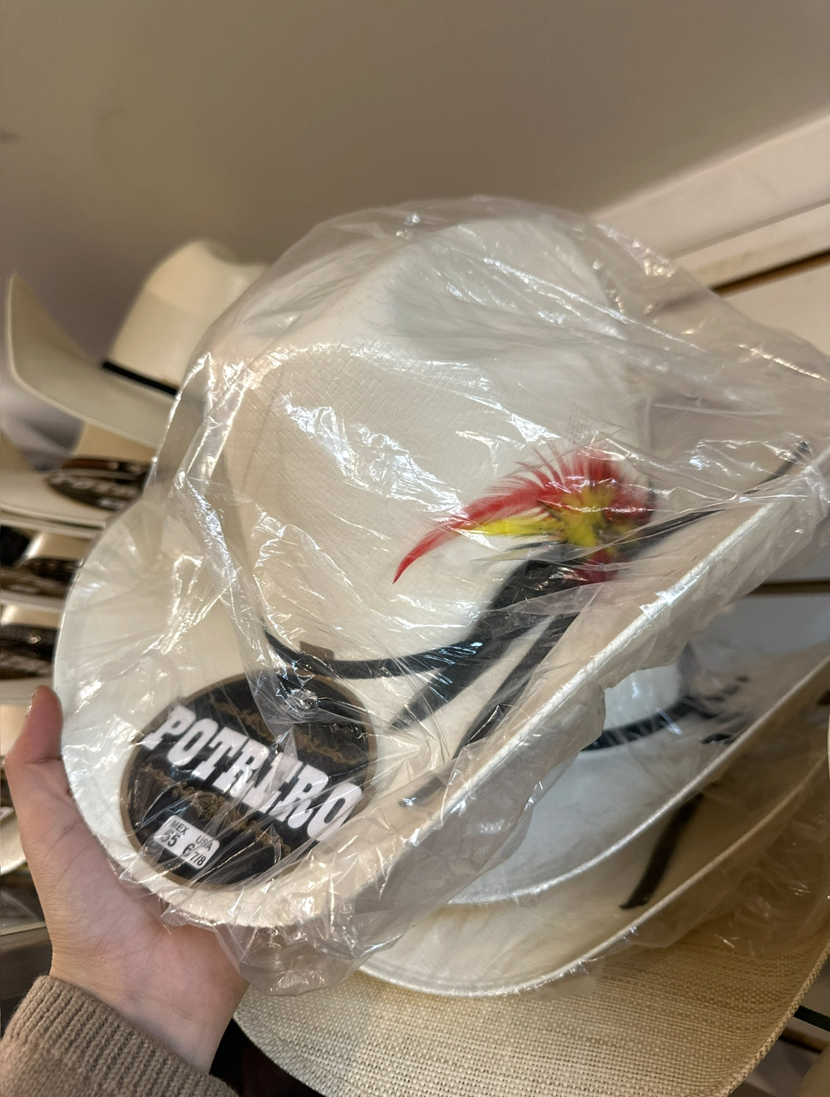 Straw Hat with Feather
