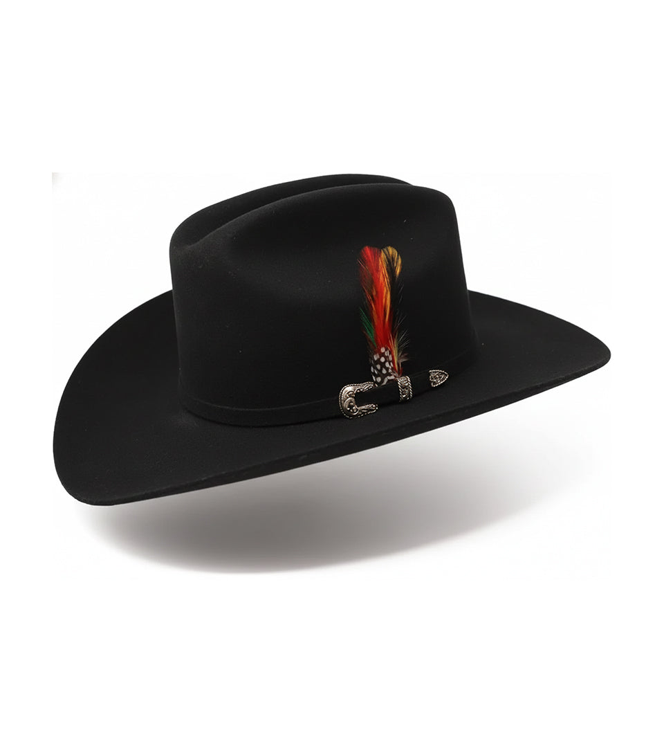BLACK HAT WITH RED FEATHER
